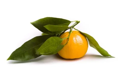 Orange with leafs Stock Photos