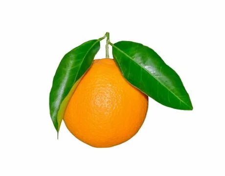 Orange With Leafs On A White Stock Photos