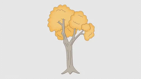 Orange leafy tree Stock Footage 337808187