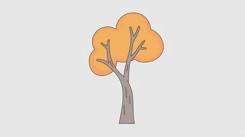 Orange leafy tree Stock Footage 337836464