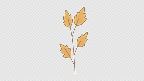 Orange leafy twig Stock Footage 337934276