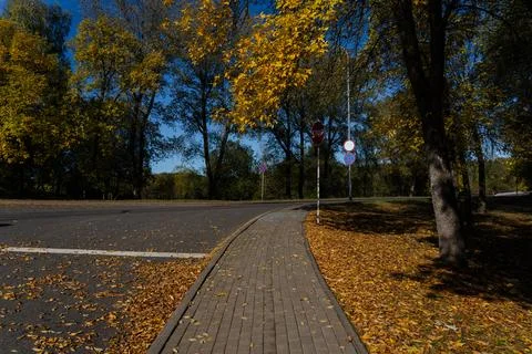 Orange leaves along the sidewalk path. The park in October Stock Photos