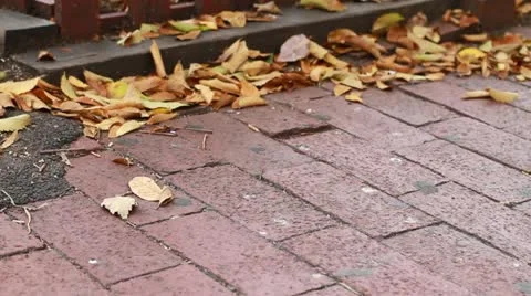 Orange Leaves and Brick Stock Footage 12414012