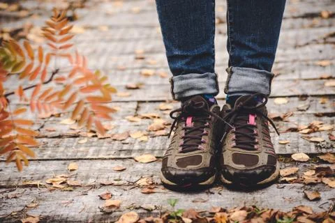 Orange leaves of a mountain ash and legs in shoes against the background of w Stock Photos