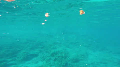 Orange leaves slowly sinking in beautiful blue water Stock Footage 302541331