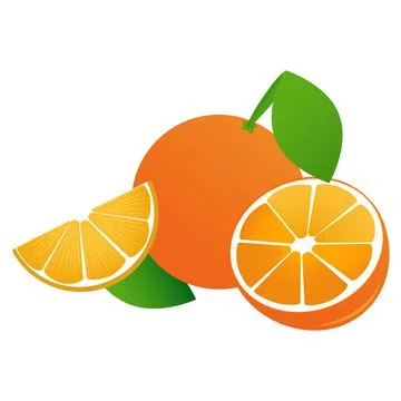 Orange with leaves in vector, eps 10 스톡 일러스트