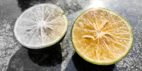 Orange lemon background. Double slice of lemon selective focus . Stock Photos