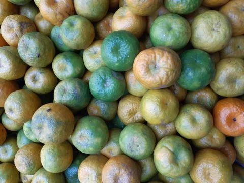 Orange lemon. Stock Photos