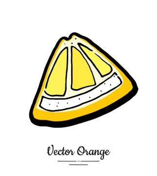 Orange lemon quarter slice vector isolated. Cut chopped orange grapefruit lem Stock Illustration