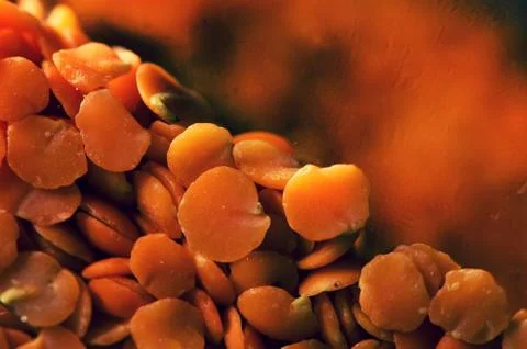 Orange lentil Stock Photos