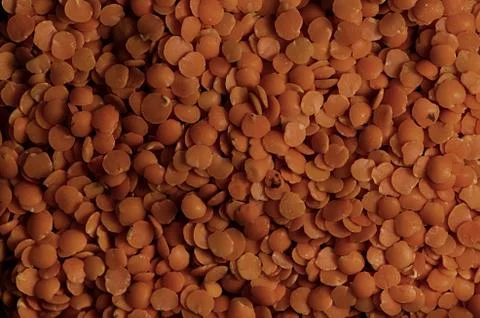 Orange lentil Stock Photos