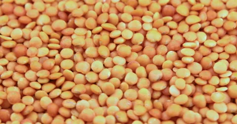 Orange lentils close up. Lentils pattern as background Stock Footage 110835070