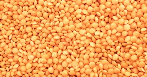 Orange lentils close up. Lentils pattern as background Stock Footage 110888542