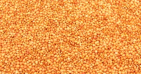 Orange lentils close up. Lentils pattern as background Stock Footage 110888905