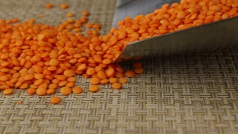 Orange lentils fall Stock Footage 123567927