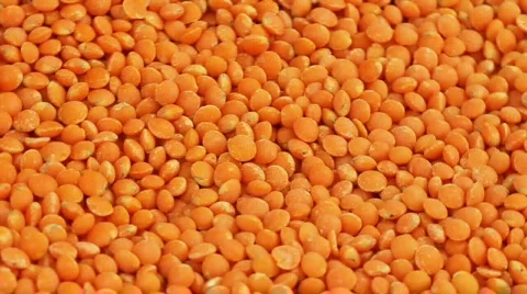 Orange lentils Stock Footage 572077