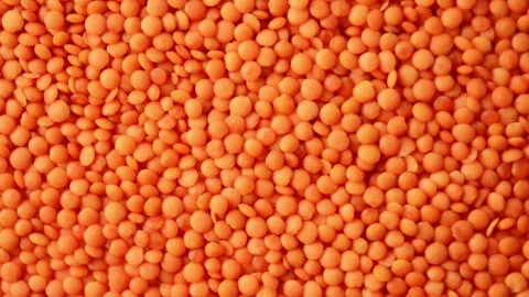 Orange lentils, top view. Slow rotation Stock Footage 287917582