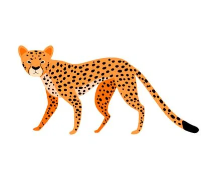 Orange Leopard. Vector illustration on a white background. Stock Illustration