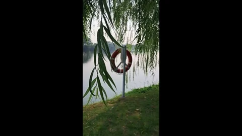 Orange Lifebuoy Ring on Shore Under Green Willow Branches Stock Footage 337788126