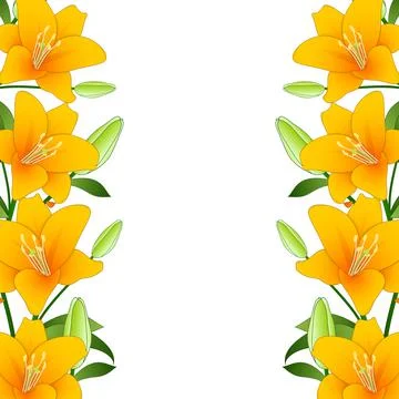 Orange Lily Border on White Background Stock Illustration