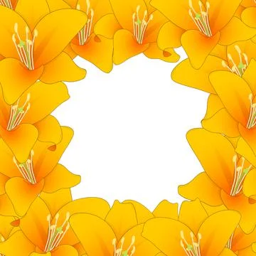Orange Lily Border2 Stock Illustration
