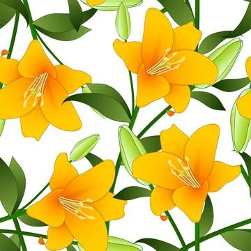 Orange Lily on White Background Stock Illustration