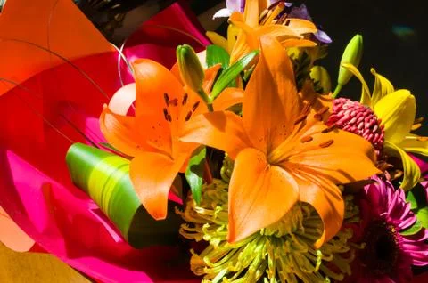 Orange Lily's Stock Photos