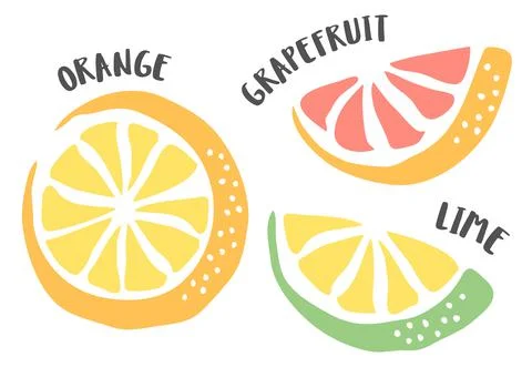 Orange, Lime and Grapefruit hand painted with ink brush Stock Illustration
