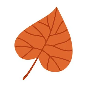 Orange Linden Leaf Isolated Vector Element Flat Style Icon Stock Illustration