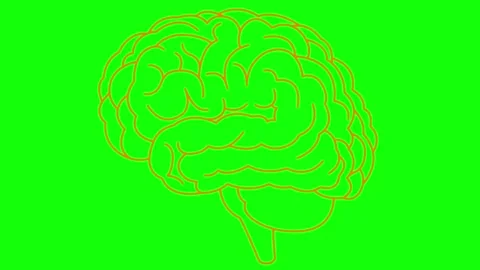 Orange line brain 2 green Stock Footage 304491889