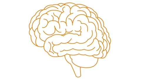 Orange line brain 2 white Video stock 304491888