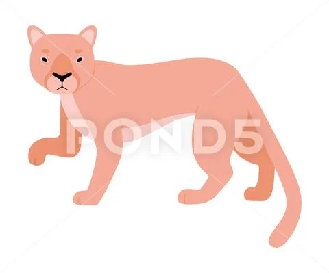 Orange Lioness. Vector illustration on a white background. Stock Illustration