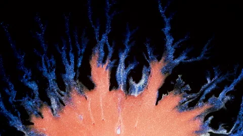 Orange liquid radiates out through rivers of blue on Black background. Macro Abs Stock Footage 135573986