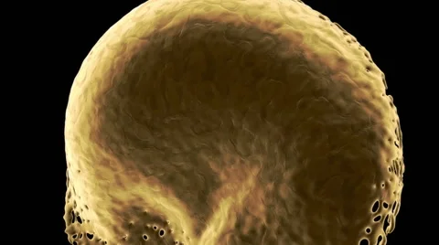 Orange liquid splashes abstract and keeps rotating, alpha included (FULL HD) Stock Footage 40706428