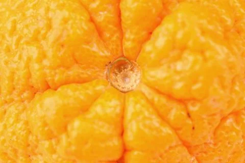 Orange macro Stock Photos