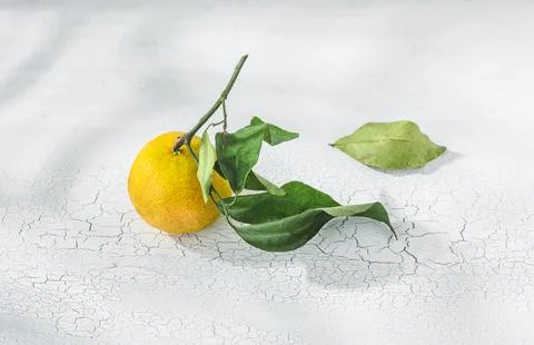 Orange mandarin on white table Stock Photos