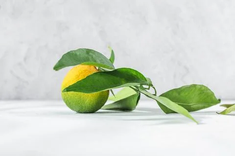 Orange mandarin on white table Stock Photos