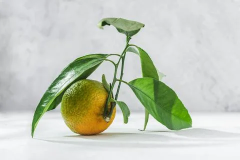 Orange mandarin on white table Stock Photos