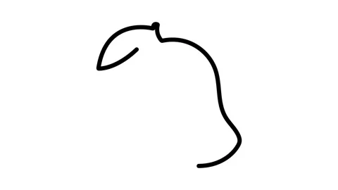 Orange mango with green leaf on white background Stock Footage 324281514