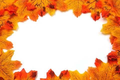 Orange Maple Autumn leaf border with space copy over on white background Stock Photos