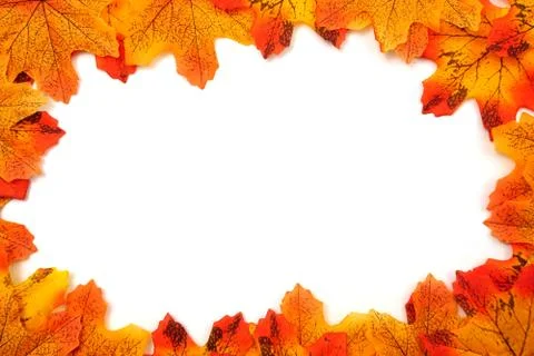 Orange Maple Autumn leaf border with space copy over on white background Foto stock