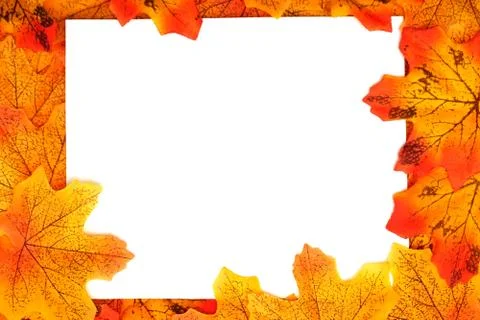 Orange Maple Autumn leaf border with space copy over on white background Stock Photos