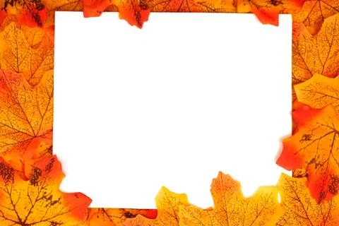 Orange Maple Autumn leaf border with space copy over on white background Stock Photos