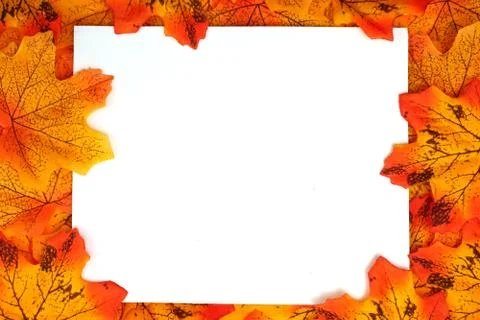 Orange Maple Autumn leaf border with space copy over on white background Stock Photos