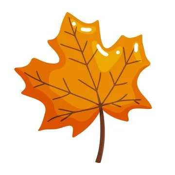 Orange Maple Leaf Hand Drawn Doodle Illustration Stock Illustration