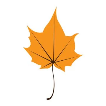 Orange maple leaf isolated on white background Stock Illustration
