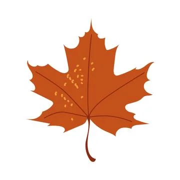 Orange maple leaf vector autumn illustration with warm textures Stock Illustration