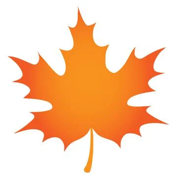 Orange maple leaf on white background Stock Illustration