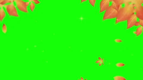 Orange maple leaves falling downward against bright green background with 스톡 동영상 345335354