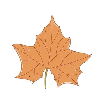 Orange maple tree leaf. Autumn fallen leaf, Colorful autumn concept. Fall f.. Stock Illustration